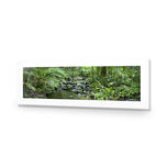 Mossman River In Daintree Rainforest