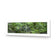 Mossman River In Daintree Rainforest