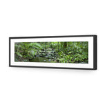Mossman River In Daintree Rainforest