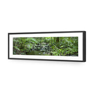 Mossman River In Daintree Rainforest