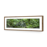 Mossman River In Daintree Rainforest