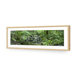 Mossman River In Daintree Rainforest