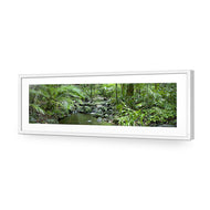 Mossman River In Daintree Rainforest