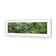 Mossman River In Daintree Rainforest