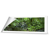 Mossman River In Daintree Rainforest