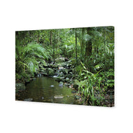 Mossman River In Daintree Rainforest