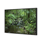 Mossman River In Daintree Rainforest