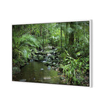 Mossman River In Daintree Rainforest