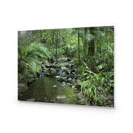 Mossman River In Daintree Rainforest