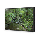 Mossman River In Daintree Rainforest