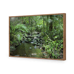 Mossman River In Daintree Rainforest