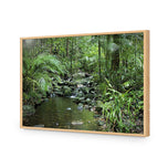 Mossman River In Daintree Rainforest