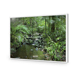 Mossman River In Daintree Rainforest