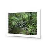 Mossman River In Daintree Rainforest