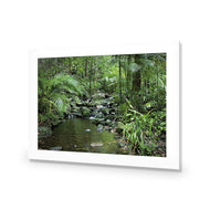 Mossman River In Daintree Rainforest
