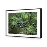 Mossman River In Daintree Rainforest