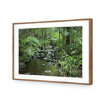 Mossman River In Daintree Rainforest