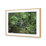 Mossman River In Daintree Rainforest