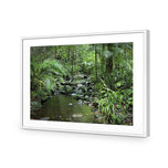 Mossman River In Daintree Rainforest
