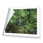 Mossman River In Daintree Rainforest