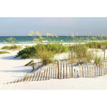 Sand Dune Reflections