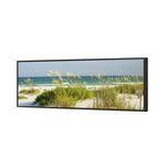 Sand Dune Reflections
