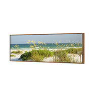 Sand Dune Reflections