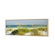 Sand Dune Reflections