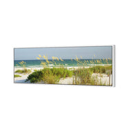 Sand Dune Reflections