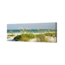 Sand Dune Reflections