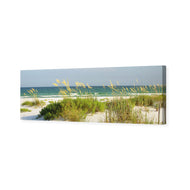 Sand Dune Reflections