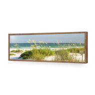 Sand Dune Reflections