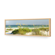 Sand Dune Reflections