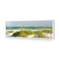 Sand Dune Reflections