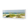 Sand Dune Reflections