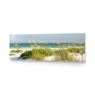 Sand Dune Reflections
