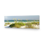 Sand Dune Reflections