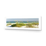 Sand Dune Reflections