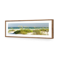 Sand Dune Reflections