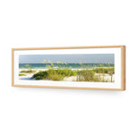 Sand Dune Reflections