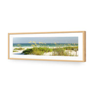Sand Dune Reflections