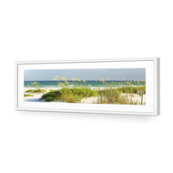 Sand Dune Reflections