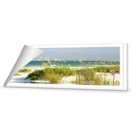 Sand Dune Reflections
