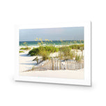 Sand Dune Reflections