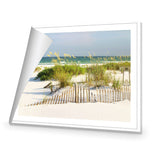 Sand Dune Reflections