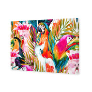 Parrots & Palms