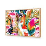 Parrots & Palms
