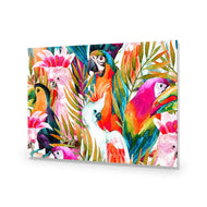 Parrots & Palms