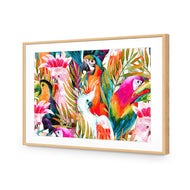 Parrots & Palms