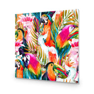 Parrots & Palms